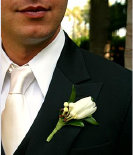 tulip boutonniere