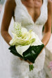 white calla lily bouquet designed in layers